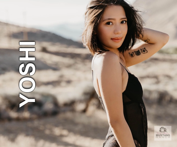 Yoshi_Lineup
